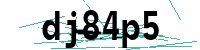 Security verification captcha
