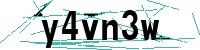 Security verification captcha