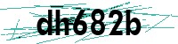 Security verification captcha